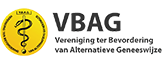 logo vbag